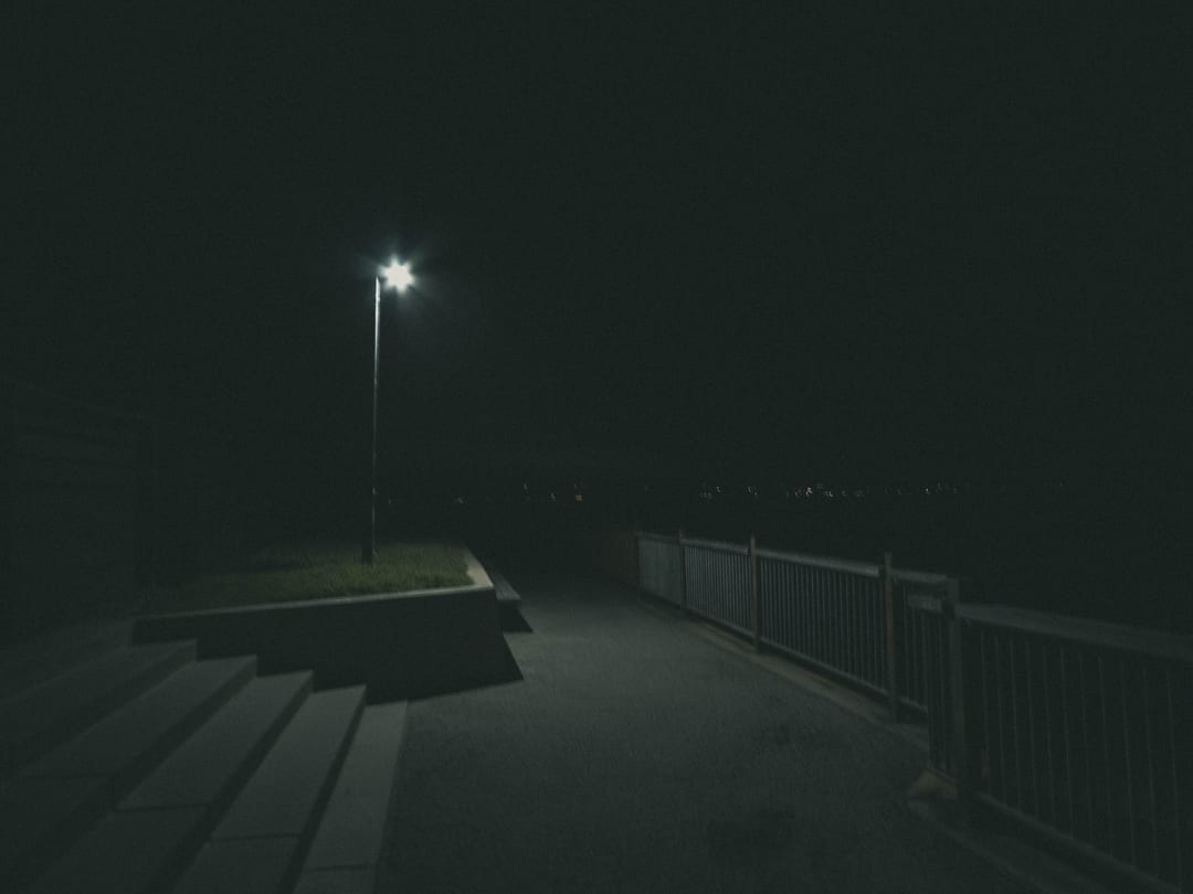 a single street lamp over a dark path and railing by the water at night